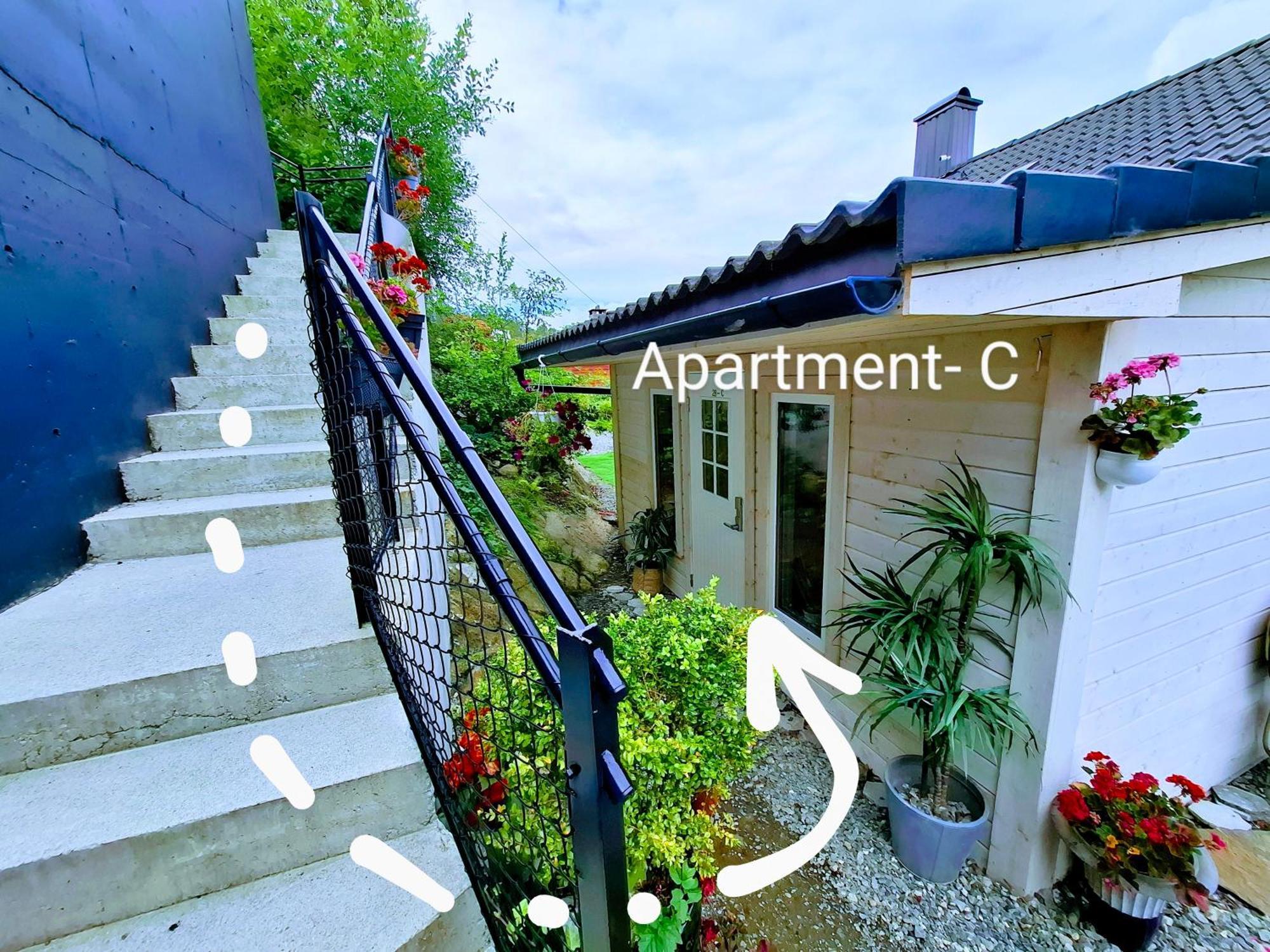 Bergen Sunrise Terrace Apartment Extérieur photo